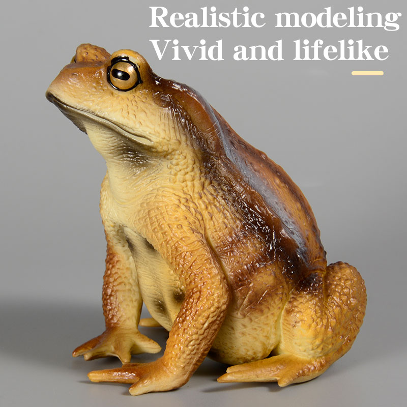 Amphibian Frog Figure Insect M - đánh giá và giá Kids First Education
