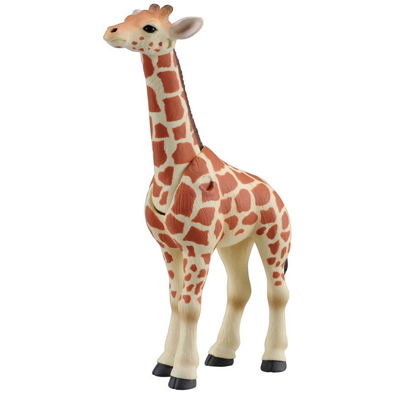 Original Takara Tomy Ania Gira - đánh giá và giá Kids First Education