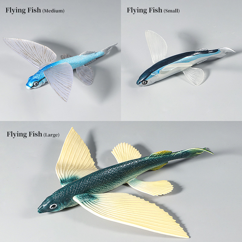 Ocean Marine Animal Underwater - đánh giá và giá Kids First Education