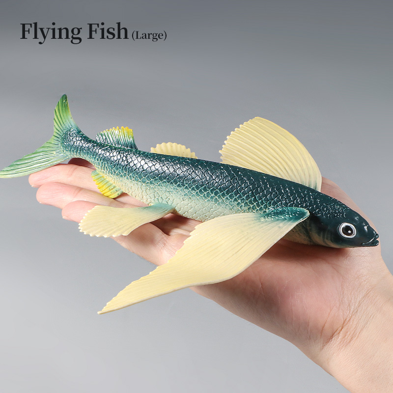 Ocean Marine Animal Underwater - đánh giá và giá Kids First Education